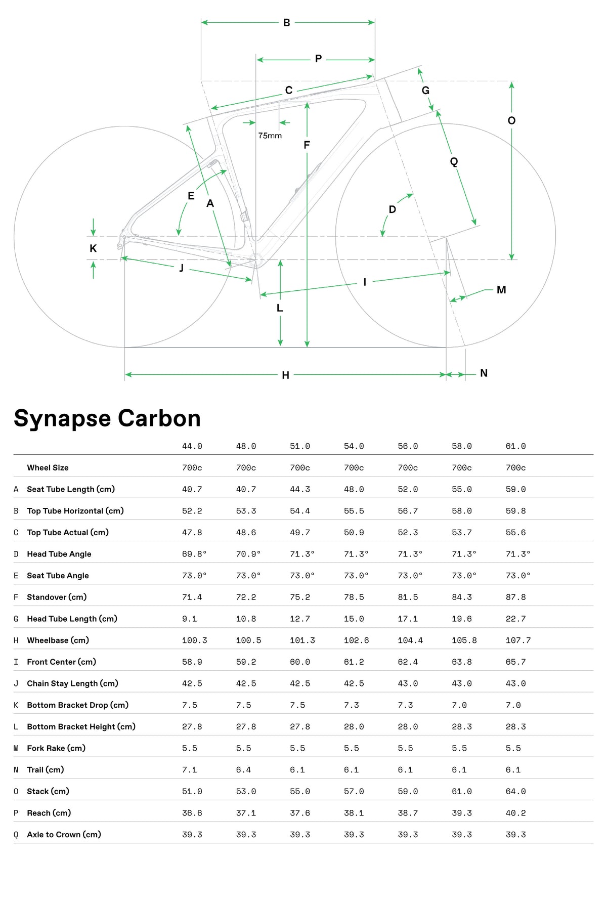 Synapse Carbon 5 Cannondale 2025 Phoenix Yellow #8
