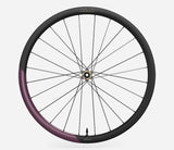 Oquo Rueda Delantera Gravel RP35LTD Metallic Mulberry